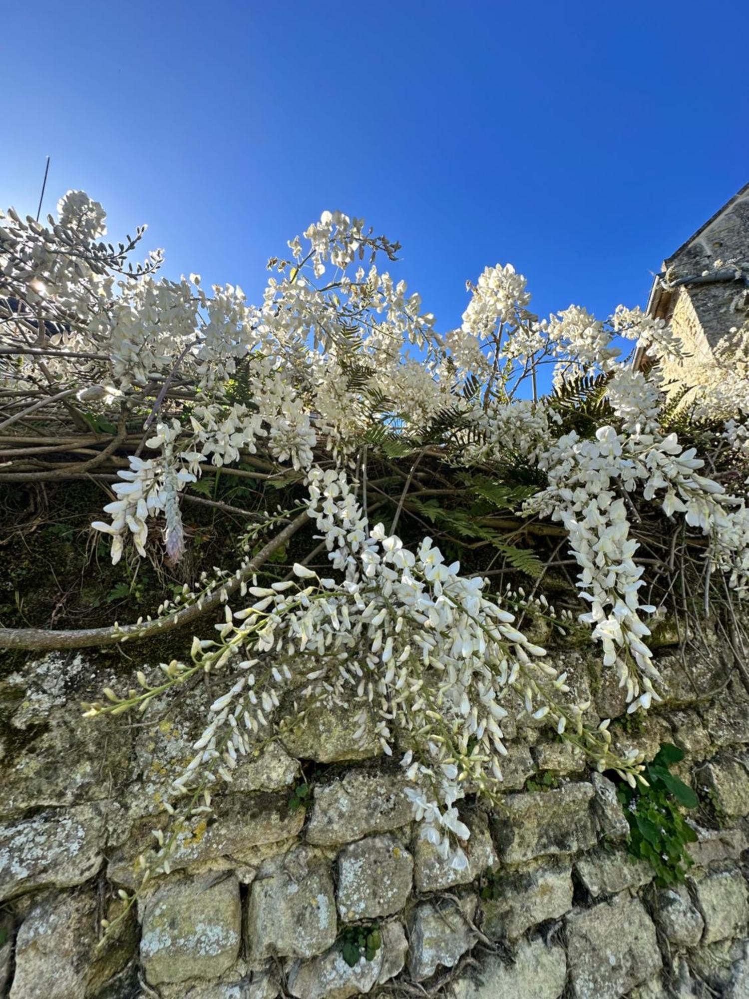 Hotel Restaurant Le Clos De L 'Ancien Pressoir Commes Exterior photo